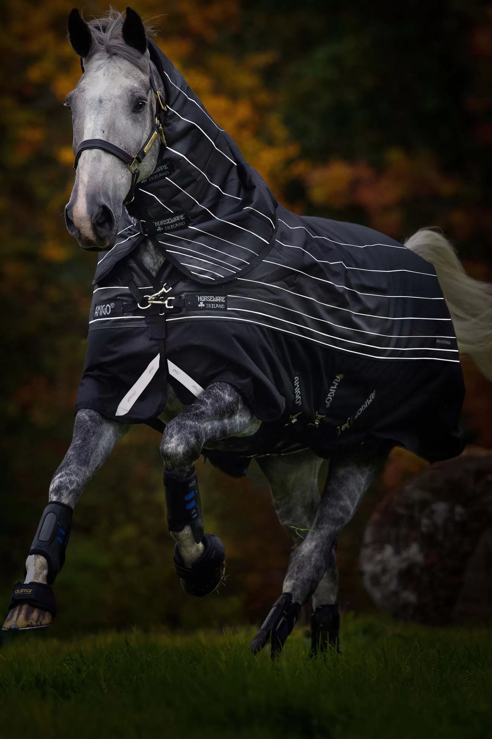 horseware Amigo Bravo 12 Reflective Plus Ulkoloimi Irrotettavalla Kaulakappaleella, 250 G Black/Reflective/Black Flash Sale