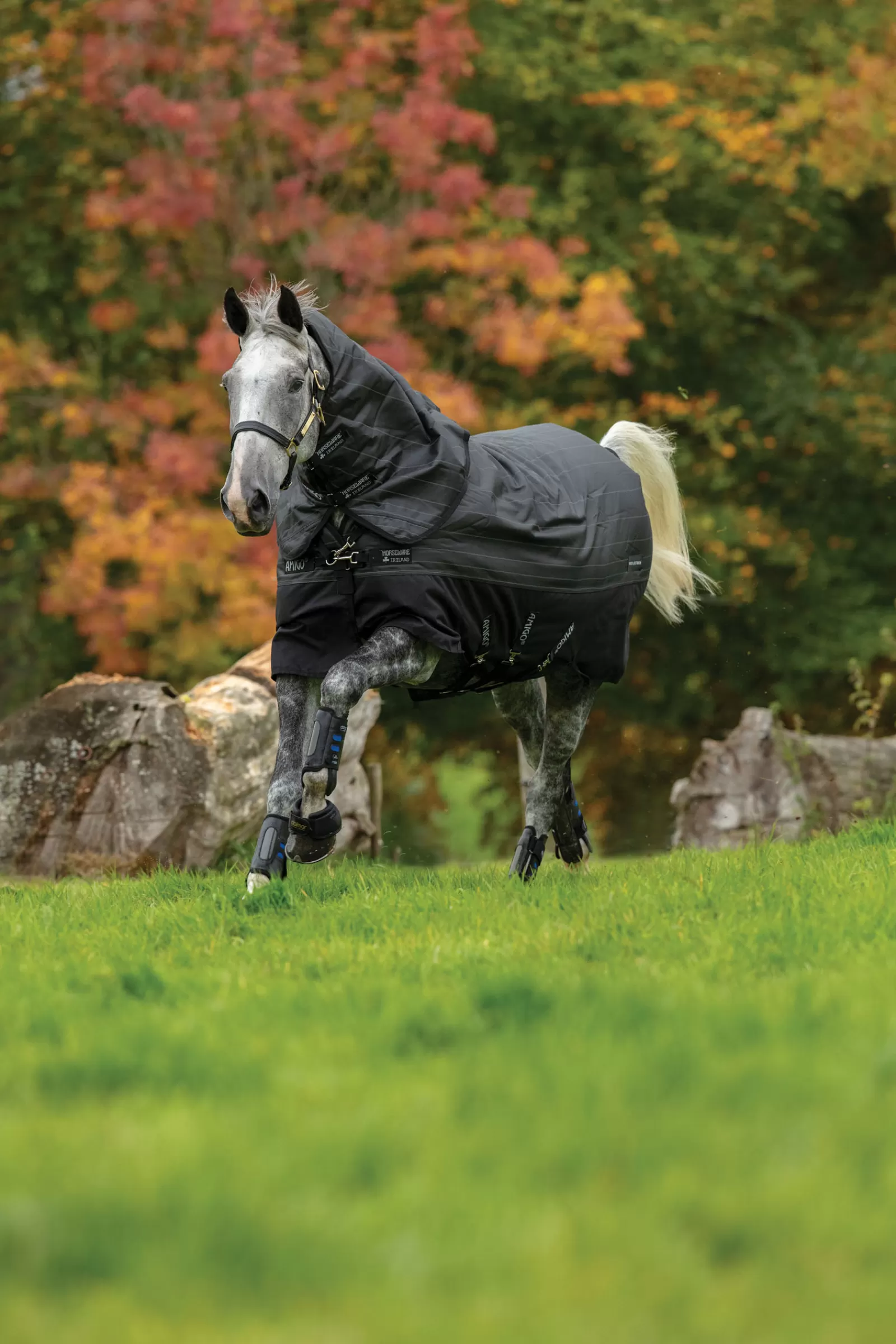 horseware Amigo Bravo 12 Reflective Plus Ulkoloimi Irrotettavalla Kaulakappaleella, 250 G Black/Reflective/Black Flash Sale