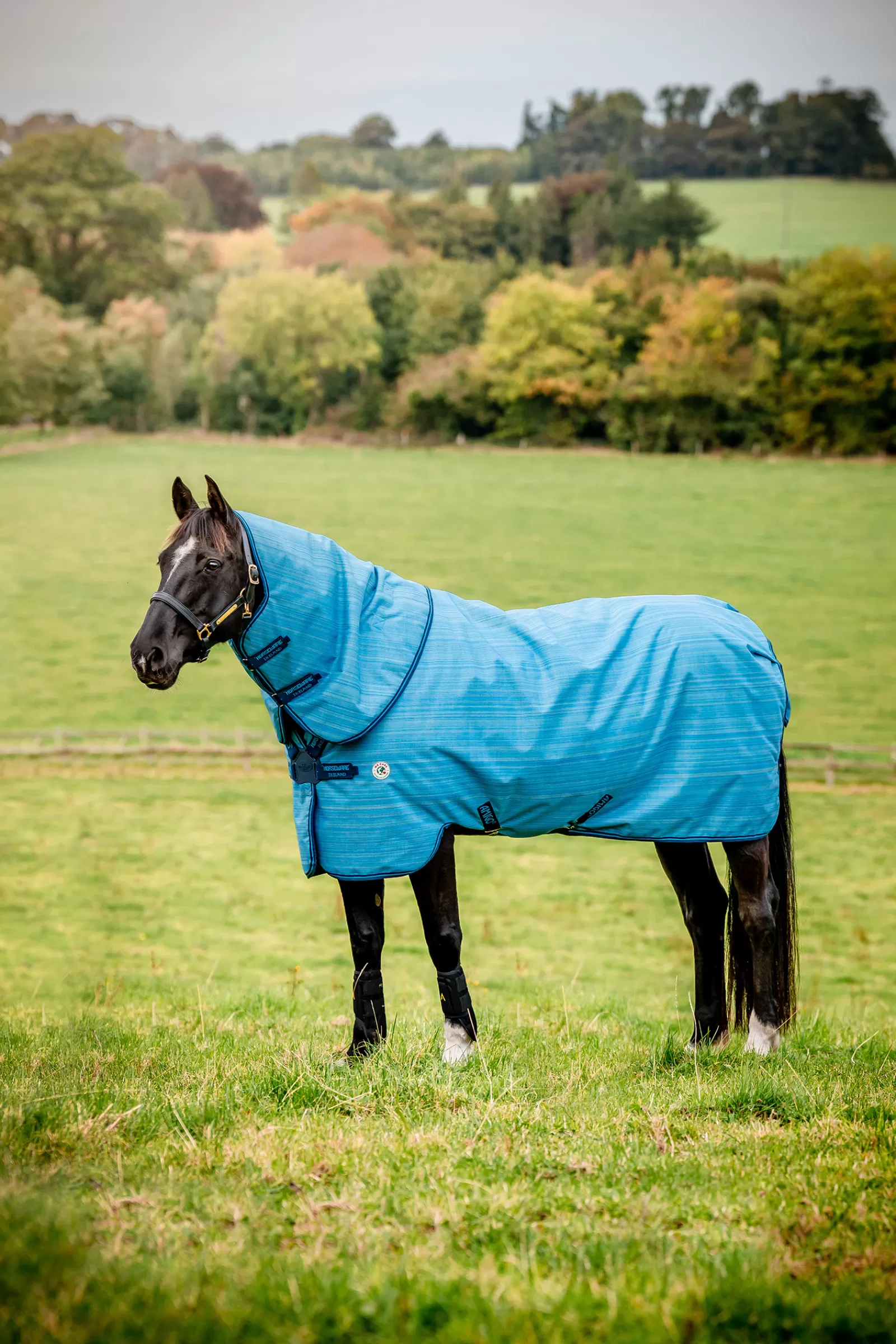 horseware Amigo Hero 900 Revive Plus Ulkoloimi, Mukana Irrotettava Kaulakappale, 50 G Oceanblue Fashion