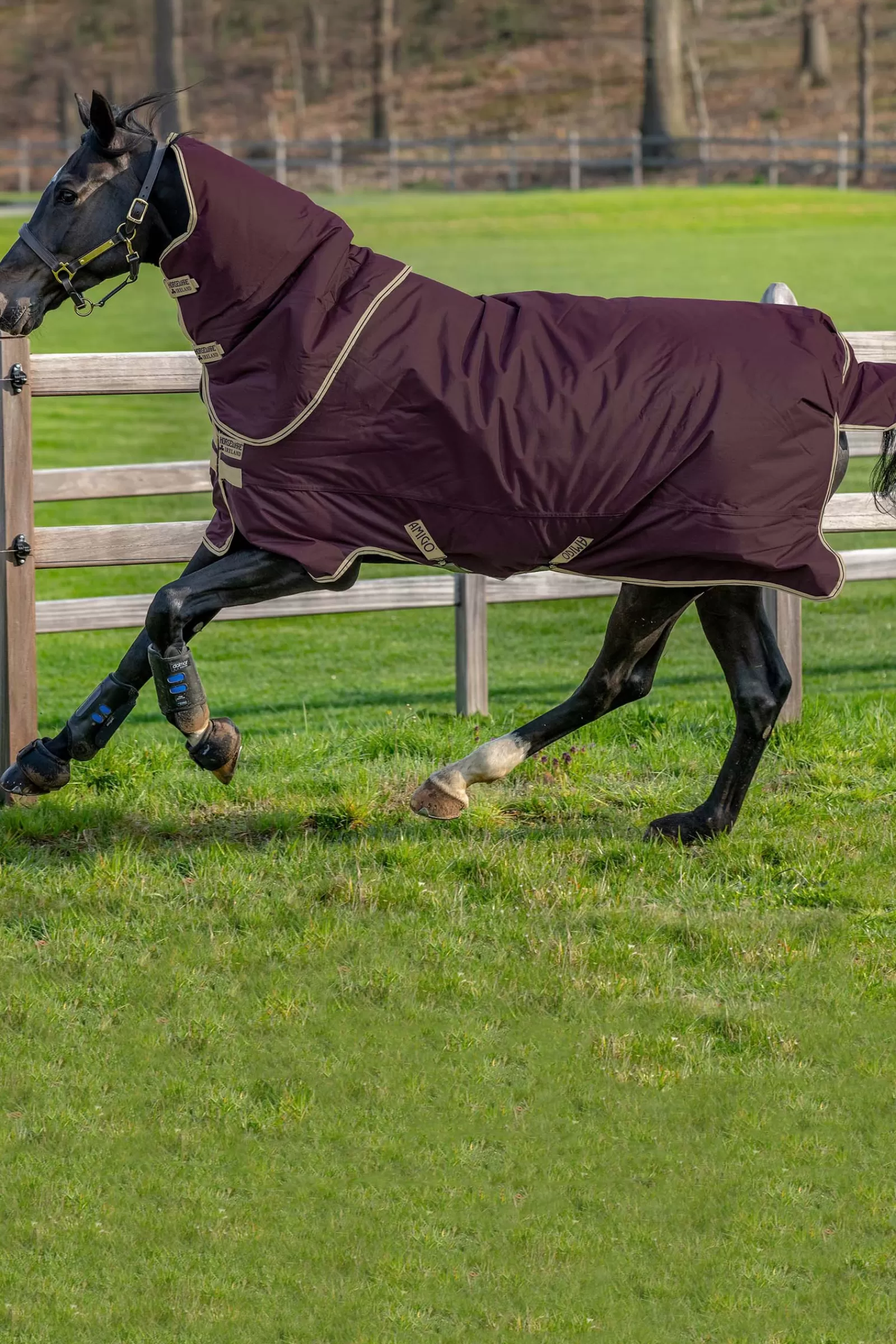 horseware Amigo Hero Ripstop Plus Lite Ulkoloimi Irrotettavalla Kaulakappaleella, 0 G Fig/Navy/Tan Flash Sale