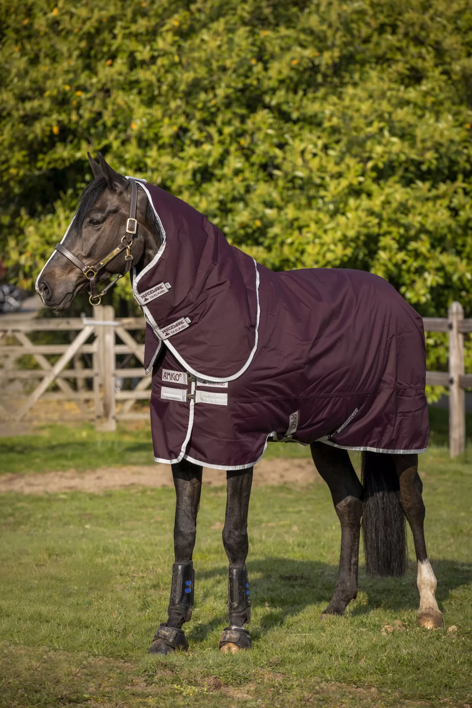 horseware Amigo Hero Ripstop Plus Medium Ulkoloimi Irrotettavalla Kaulakappaleella, 200 G Fig/Silver Discount