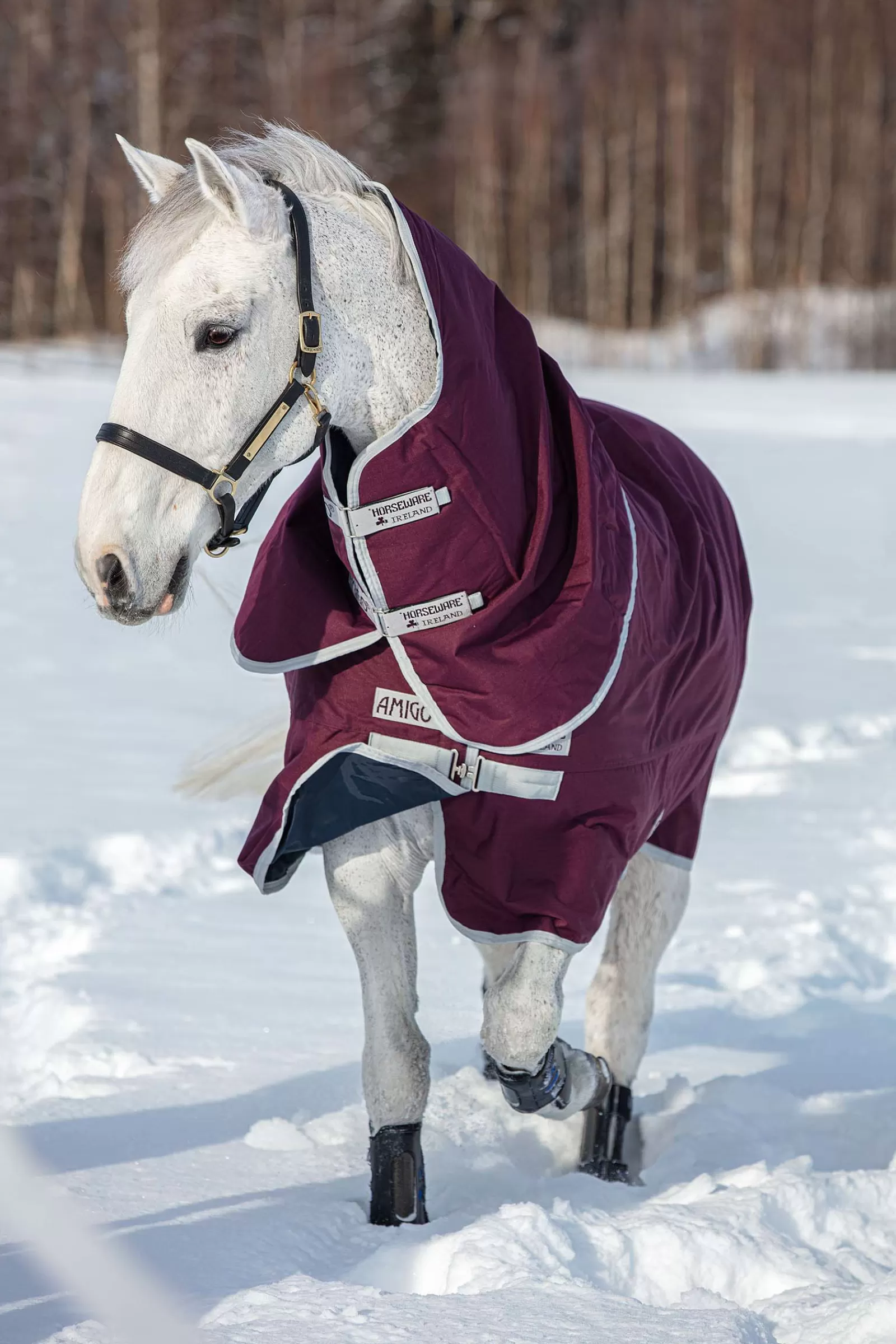 horseware Amigo Hero Ripstop Plus Medium Ulkoloimi Irrotettavalla Kaulakappaleella, 200 G Fig/Silver Discount