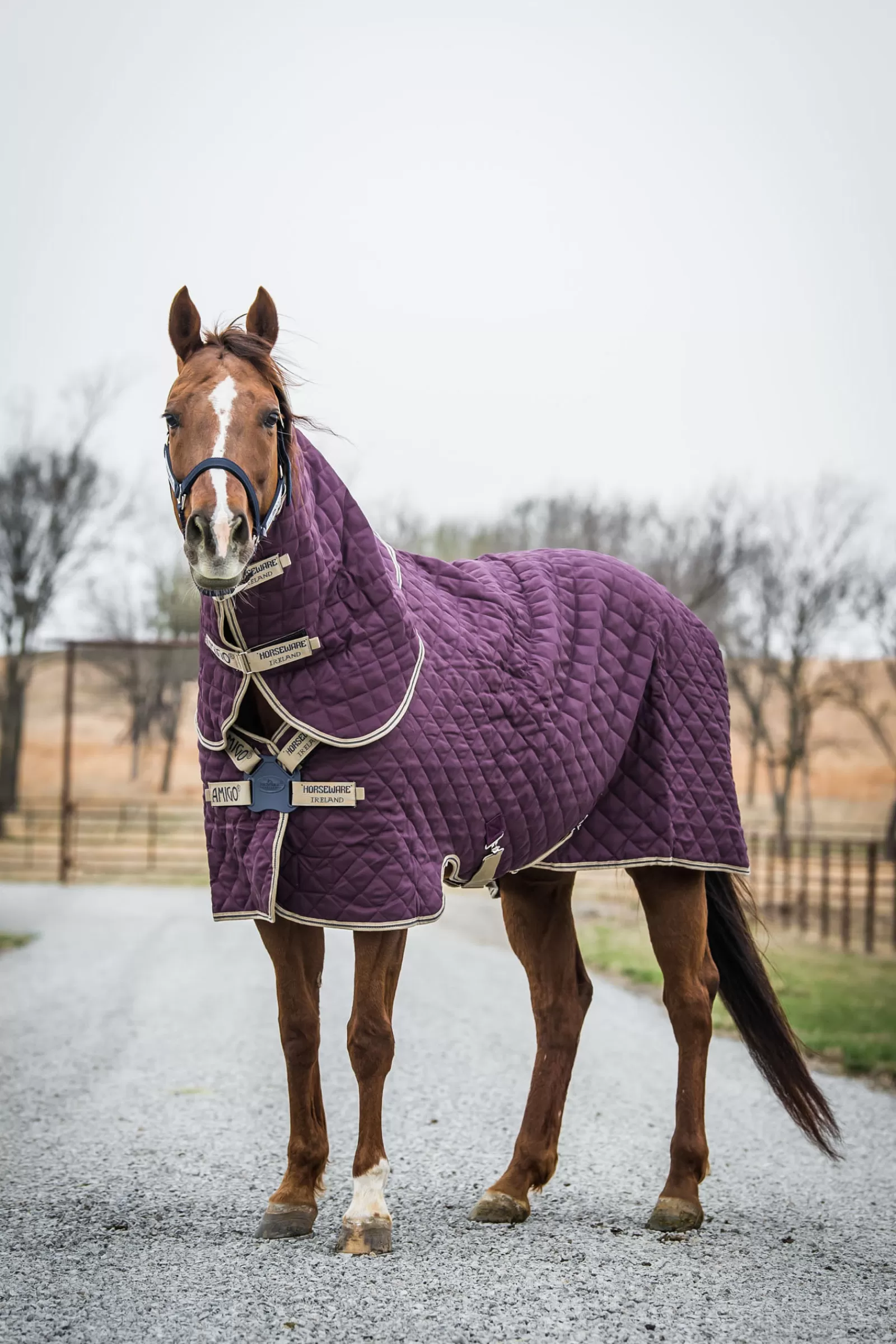 horseware Amigo Stable Plus Med Disc Talliloimi Irrotettavalla Kaulakappaleella, 200 G Fig/Navy/Tan Hot