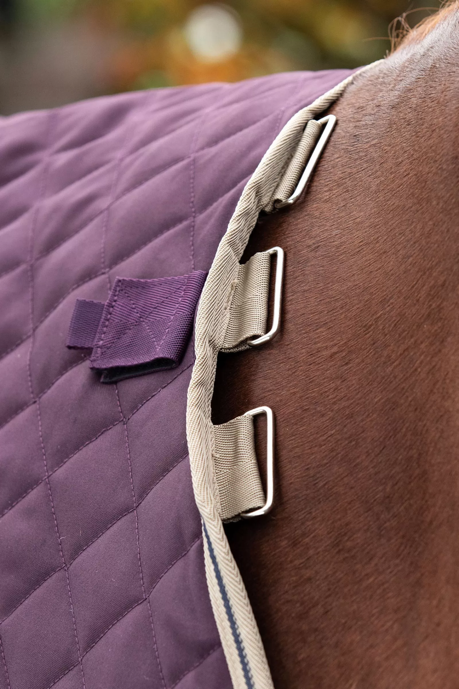 horseware Amigo Stable Plus Med Disc Talliloimi Irrotettavalla Kaulakappaleella, 200 G Fig/Navy/Tan Hot