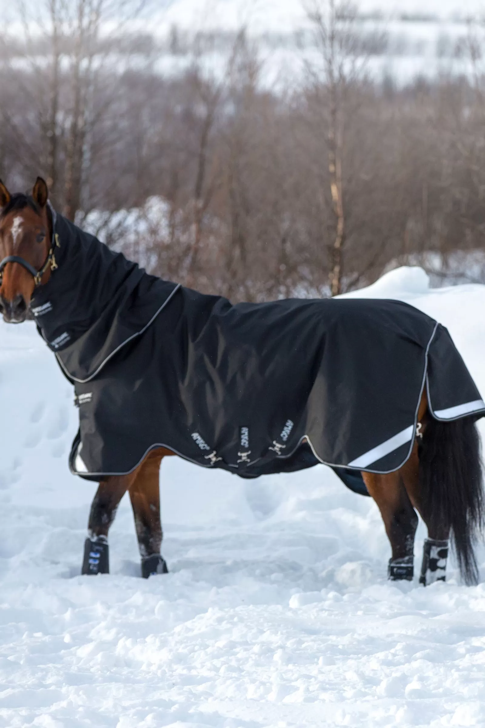 horseware Amigo Super Bravo Plus, Ulkoloimi Irrotettavalla Kaulakappaleella, 250 G Black/Black/White Hot