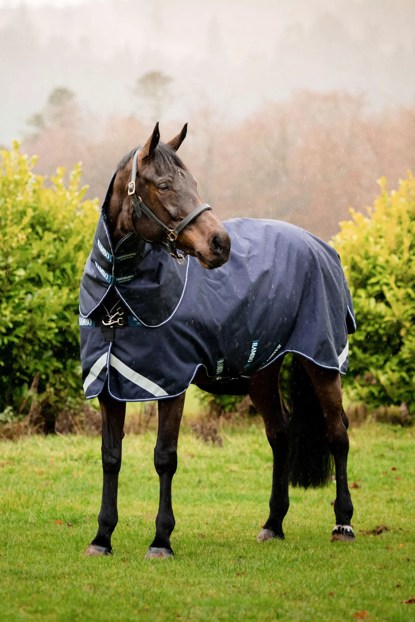 horseware Rambo Duo Force Ulkoloimi Irrotettavalla Kaulakappaleella, 0 G Dark Blue/Dark Blue/White Discount