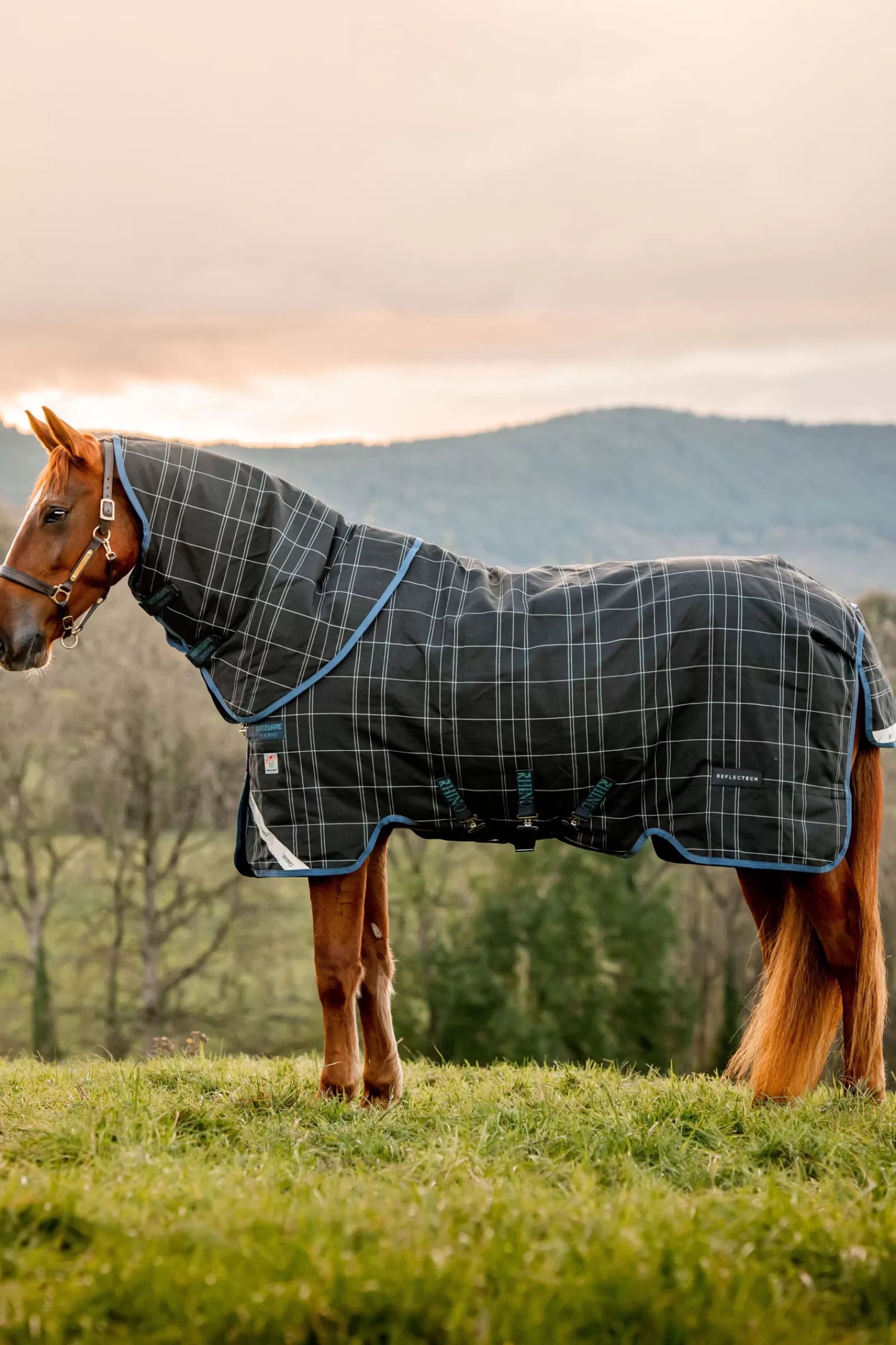 horseware Rhino Reflectech Plus Vari-Layer Ulkoloimi, Sis. Irrotettavan Kaulakappaleen, 250 G Midnight Dark Blue/ Indigo Blue Flash Sale