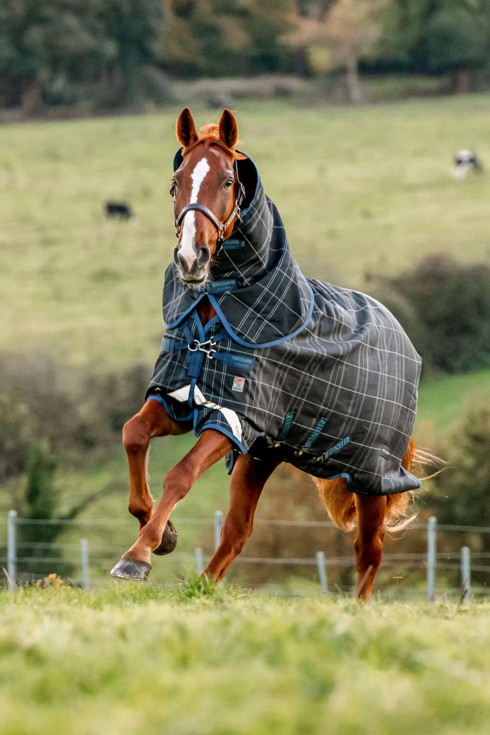 horseware Rhino Reflectech Plus Vari-Layer Ulkoloimi, Sis. Irrotettavan Kaulakappaleen, 250 G Midnight Dark Blue/ Indigo Blue Flash Sale