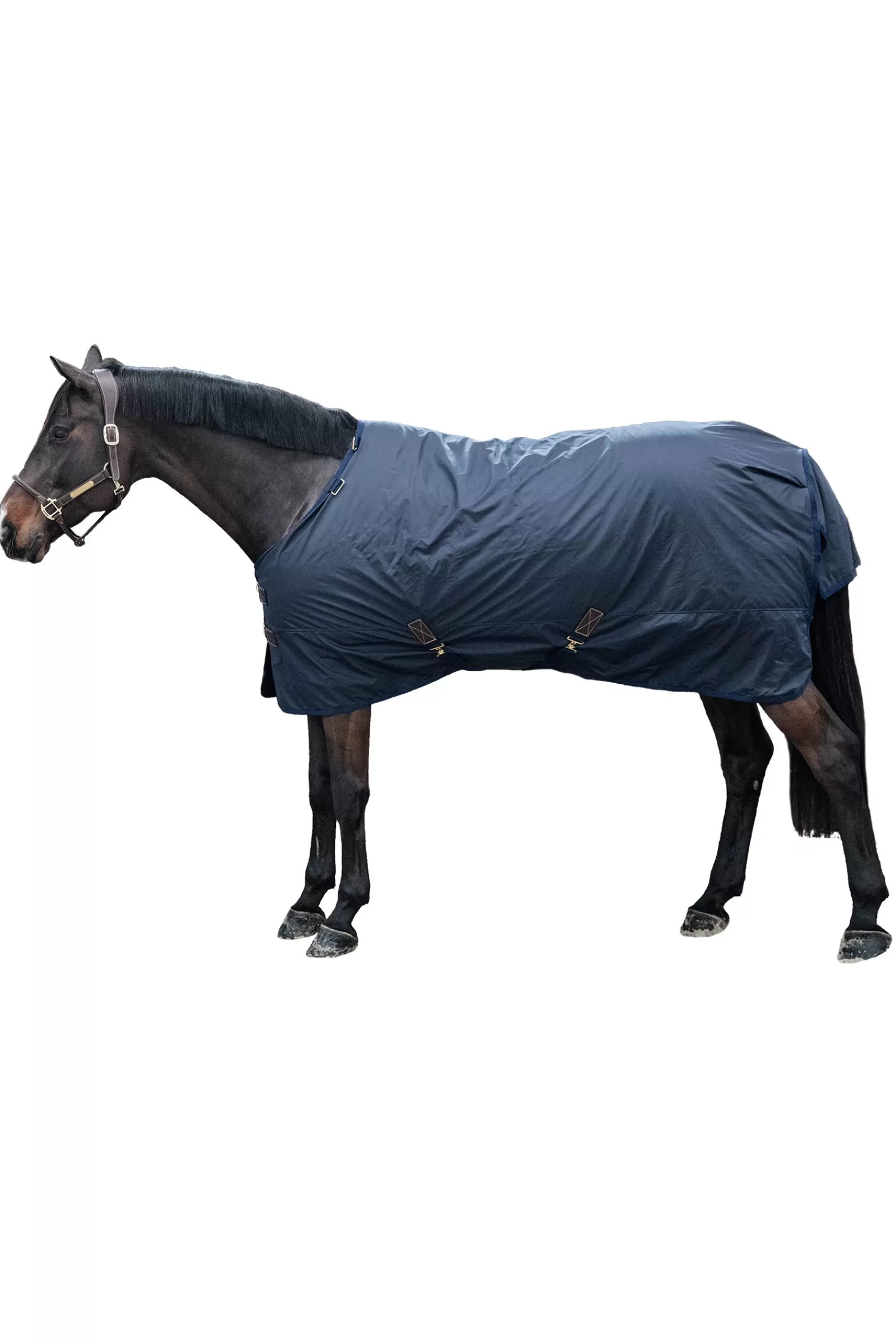 kentucky Horsewear All Weather Hurricane Ulkoloimi, 0 G Db/Ab New