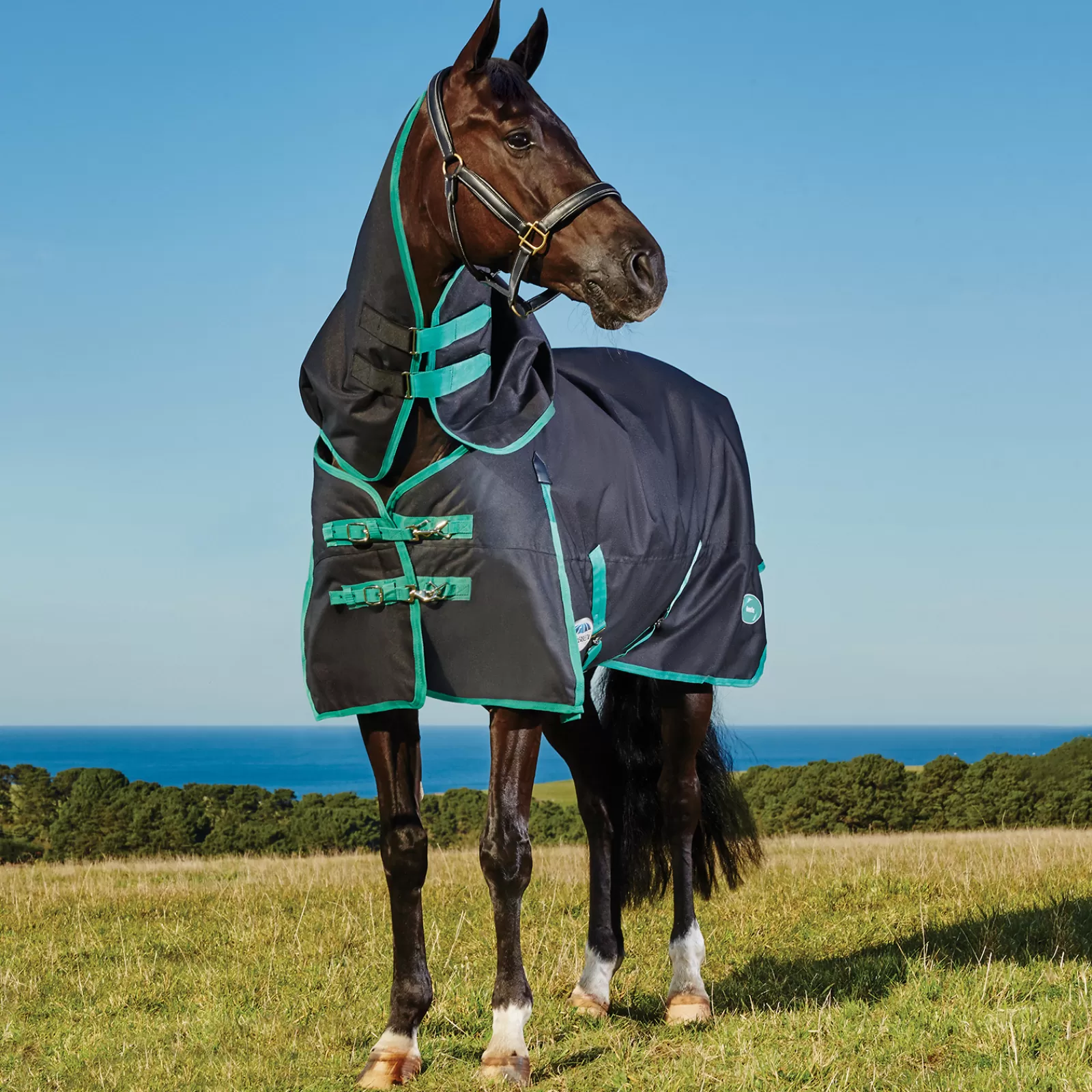 weatherbeeta Green-Tec 900D Deatch-A-Neck Lite Plus Sadeloimi Irrotettavalla Kaulakappaleella, 50 G Black/Bottle Green Clearance